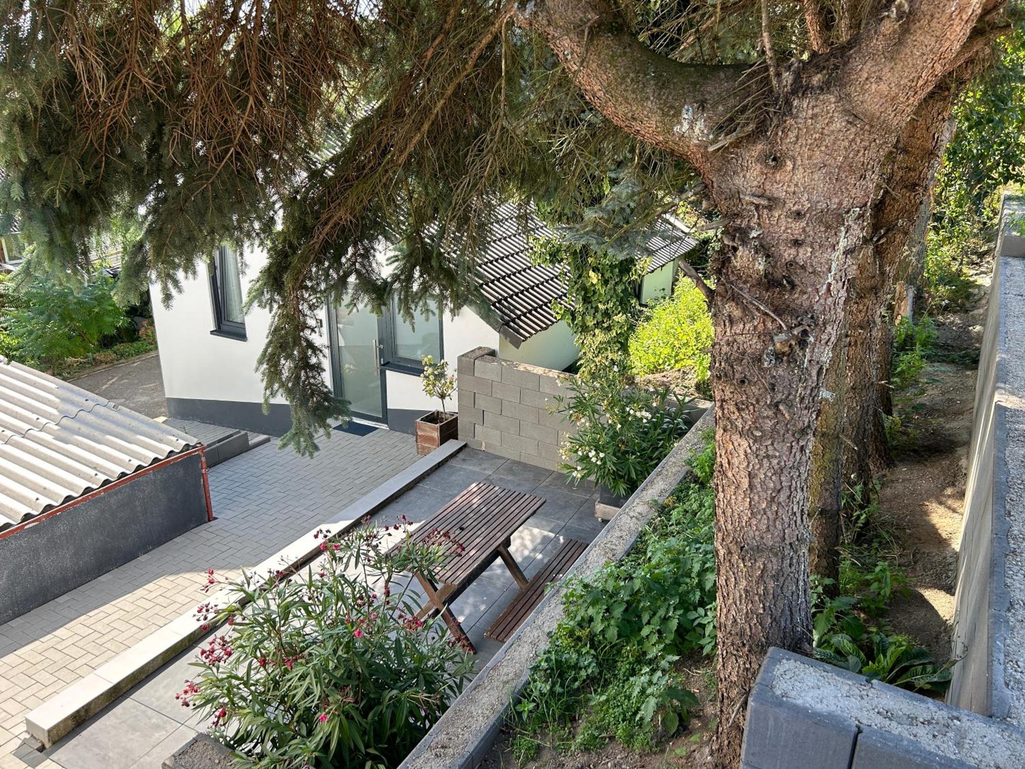 Koblenzer Naturhaus & Apartments コブレンツ エクステリア 写真