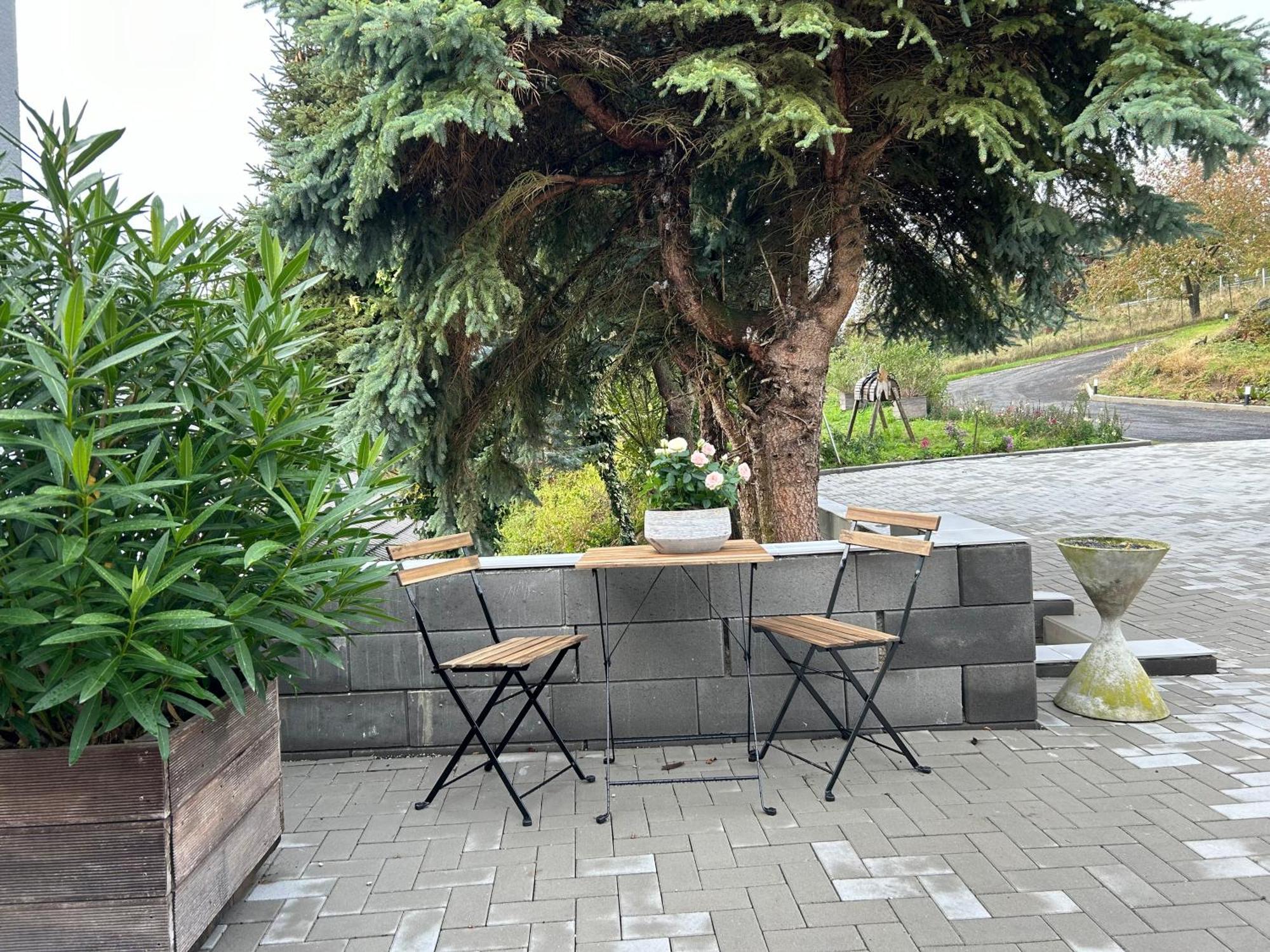 Koblenzer Naturhaus & Apartments コブレンツ エクステリア 写真